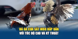Đá Gà Cựa Sắt W88 Hấp Dẫn Với Tốc Độ Cao Và Kỹ Thuật